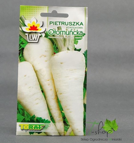 Pietruszka korzeniowa OŁOMUŃCKA