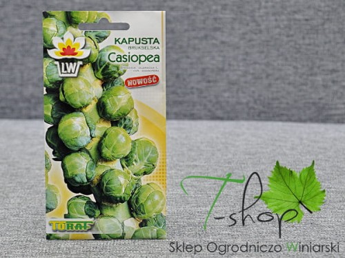 Kapusta Brukselka Casiopea 2g