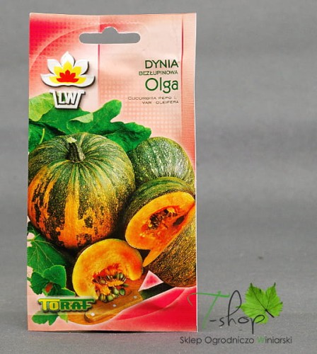 Dynia Bezłupinowa OLGA 