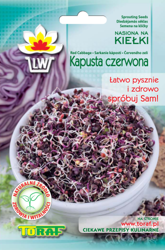 kielki kapusta czerwona-LW-767-16-rola_F