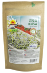 Nasiona na kiełki RUKOLA 100 g