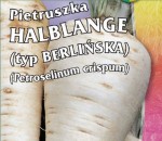 Pietruszka BERLIŃSKA 5g