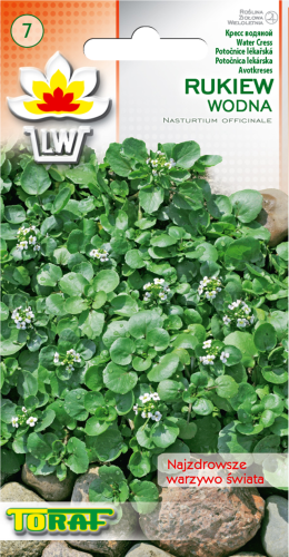 Rukiew wodna