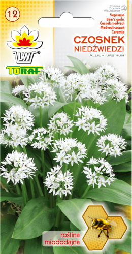 Czosnek niedzwiedzi Toraf