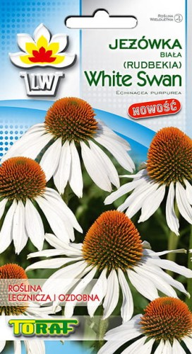 jezowka biala White Swan