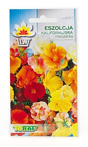 Eszolcja Kalifornijska