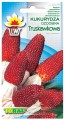 Kukurydza ozdobna truskawkowa 3g