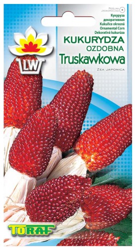 Kukurydza ozdobna truskawkowa 3g