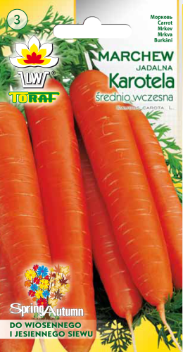marchew karotela