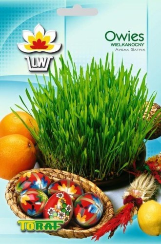 owies wielkanocny