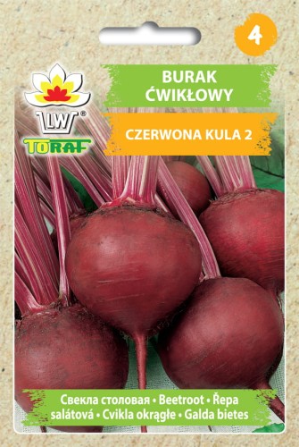 Burak-ćwikłowy-czerwona-kula-2