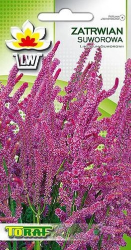 zatrwian-suworowa-karminowo-rozowy_toraf