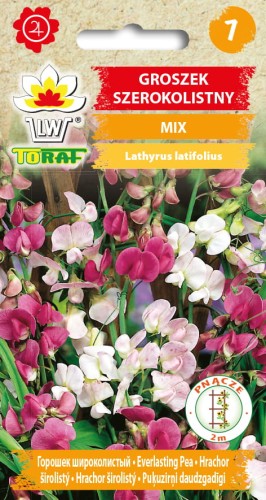 GROSZEK SZEROKOLISTNY MIX