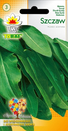 szczaw-toraf