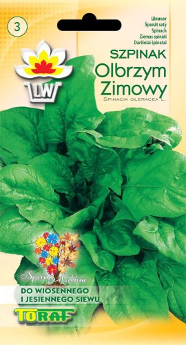 szpinak-olbrzym-zimowy-toraf