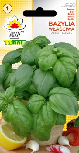 bazylia-wlasciwa