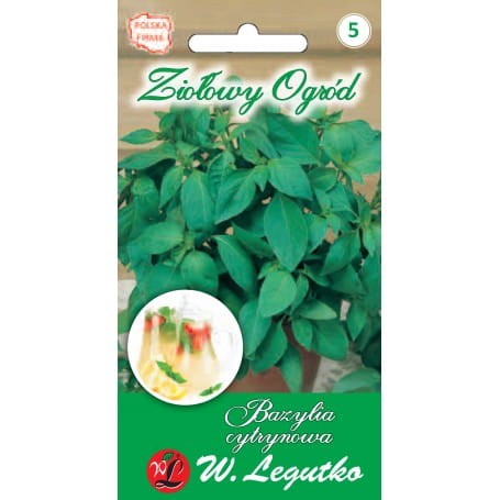 bazylia-cytrynowa-legutko