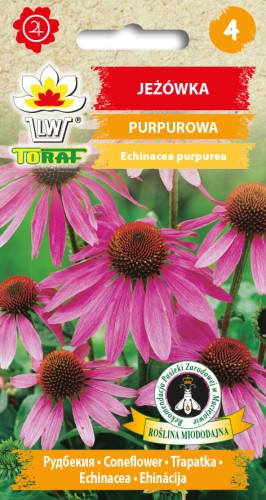 Jeżówka-Purpurowa-Toraf