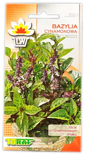 Bazylia-cynamonowa-Toraf