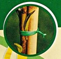 Drut-ogrodniczy-plaski-powlekany-50m-2mm-720650-2