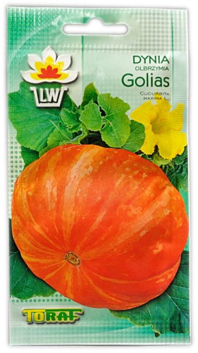 Dynia-Golias