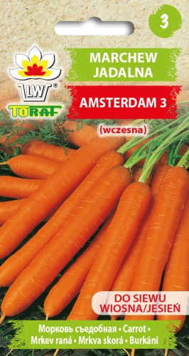 Marchew-wczesna-Amsterdam-3-Toraf