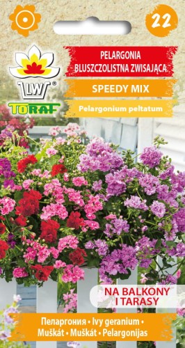 Pelargonia-Bluszczolistna-Zwisajaca-Speedy-mix-Toraf