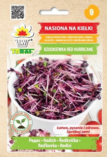 Nasiona kiełki RZODKIEWKA RED HURRICANE