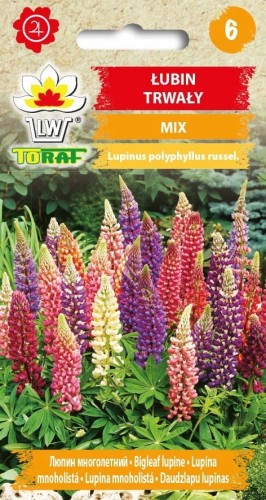 Nasiona Łubin Trwały mix kolorów