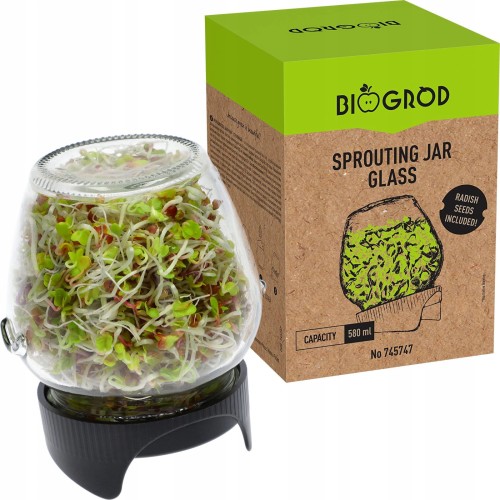 Kiełkownica słoikowa Browin