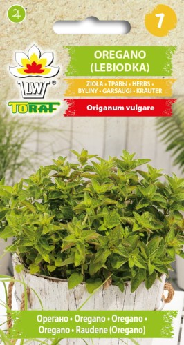 Oregano-Lebiodka-Toraf.jpg