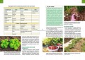 Kalendarz biodynamiczny 2024 Działkowiec