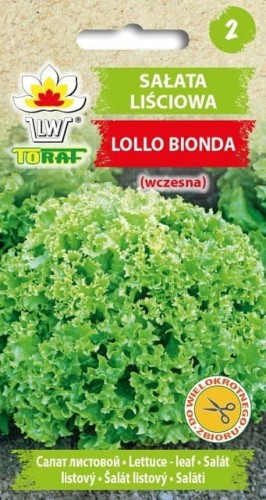 Sałata liściowa zielona Lollo Bionda
