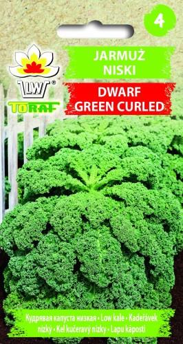 Nasiona Jarmuż zielony Dwarf Green Curled