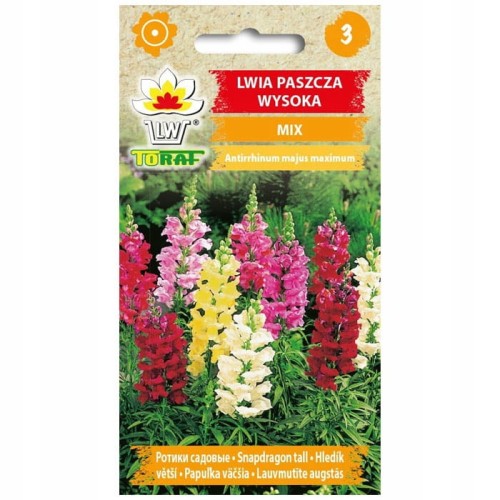 Lwia paszcza wysoka mix