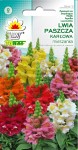 Nasiona LWIA PASZCZA KARŁOWA Mix 0,5g