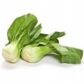 Kapusta chińska Pak-Choi