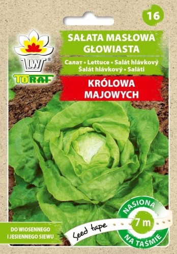Sałata KRÓLOWA MAJOWYCH [Taśma 7 m]