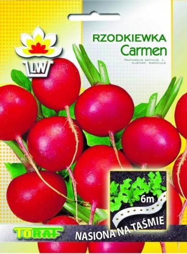 Rzodkiewka Carmen nasiona na taśmie 6m