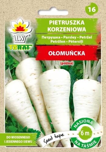 Pietruszka korzeniowa późna OŁOMUŃCKA nasiona na taśmie 6m