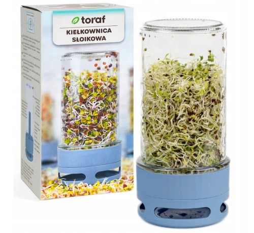 Kiełkownica słoikowa