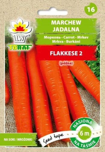 Marchew Flakkese 2 późna słodka Nasiona na taśmie 6m