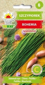 Szczypiorek Bohemia nasiona 2g