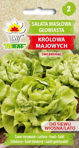 Sałata masłowa wczesna Królowa Majowych nasiona 2g