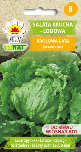 Sałata lodowa Królowa Lata 1g nasiona