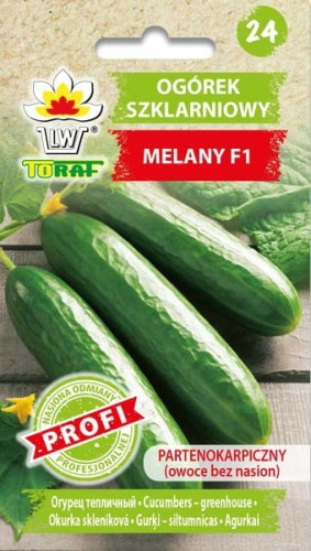 Ogórek szklarniowy MELANY F1 wczesny partenokarpiczny 1g