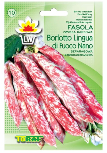 fasola-borlotto.jpg