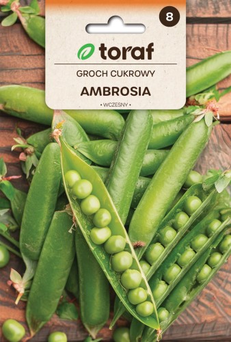 Groch cukrowy AMBROSIA