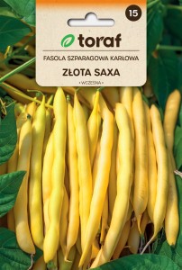 Fasola szparagowa karłowa Złota Saxa 50 g