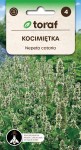 Kocimiętka Nepeta cataria 0,4g